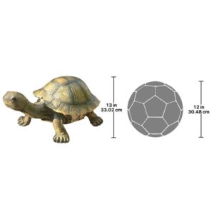 Design Toscano KY16867 29 Inch Large Tranquil Tortoise