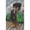 Design Toscano KY1878 Climbing Cubs Black Bear Statue