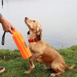 Water & Woods Vinyl Dog Training Dummies