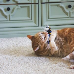 Turbo  by Coastal  Whimsy Cat Toy