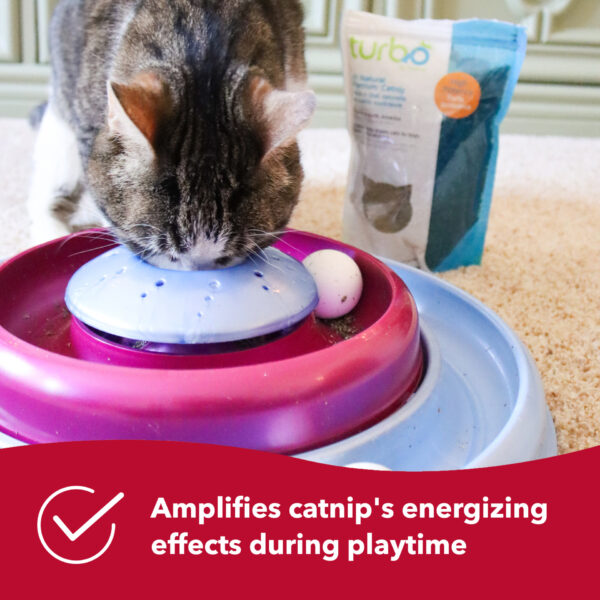 Turbo  Catnip Cyclone Cat Toy