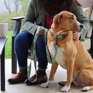 Water & Woods Adjustable Dog Collar