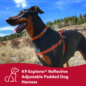 K9 Explorer  Reflective Adjustable Padded Dog Harness