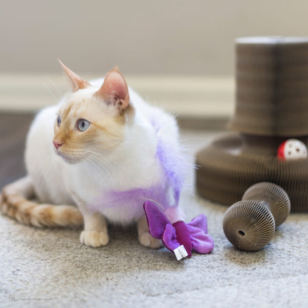 Turbo  Corrugated Cat Toys