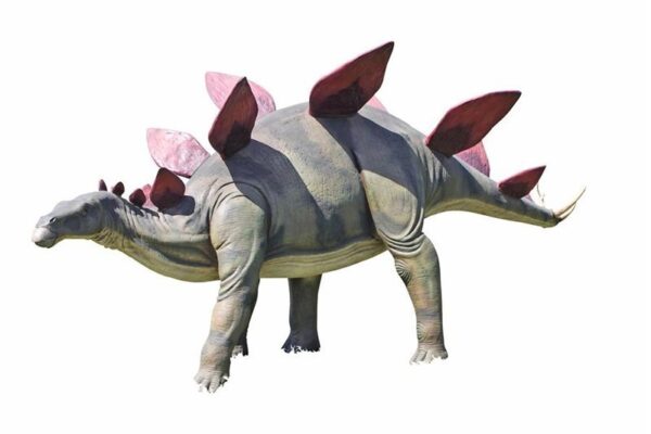 Design Toscano NE100045 194 Inch Stegosaurus Dinosaur Statue