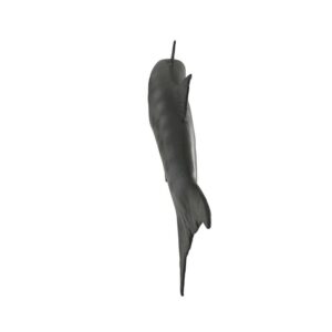 Design Toscano NE100077 21 1/2 Inch Barracuda Wall Trophy