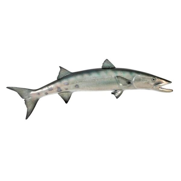 Design Toscano NE100077 21 1/2 Inch Barracuda Wall Trophy