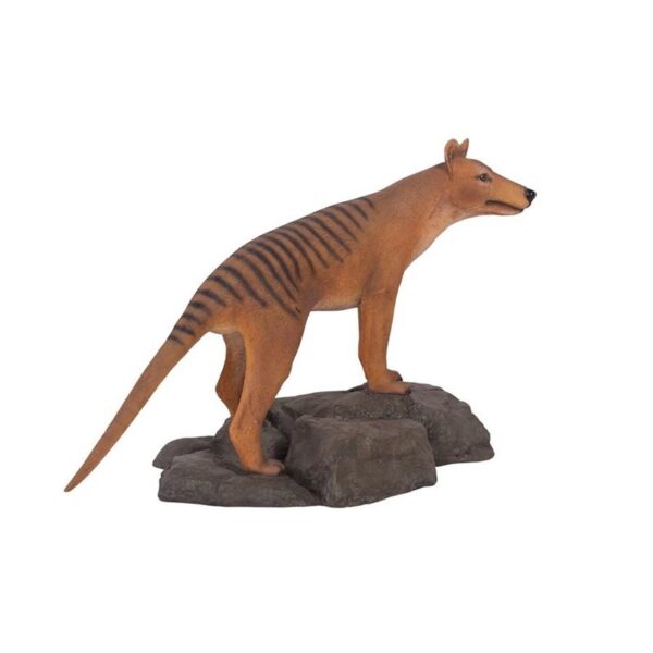 Design Toscano NE100101 40 1/2 Inch Mysterious Tasmanian Tiger Statue