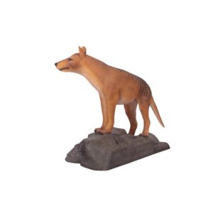 Design Toscano NE100101 40 1/2 Inch Mysterious Tasmanian Tiger Statue