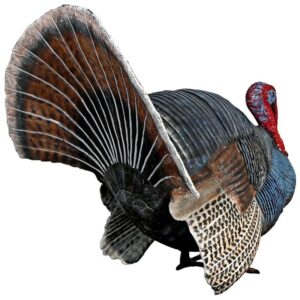 Design Toscano NE100126 24 1/2 Inch Wild Tom Turkey Statue