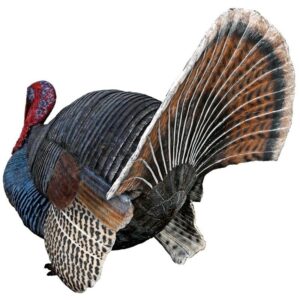 Design Toscano NE100126 24 1/2 Inch Wild Tom Turkey Statue