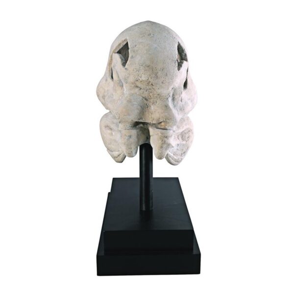 Design Toscano NE100502 10 Inch T-Rex Dinosaur Skull on Mount