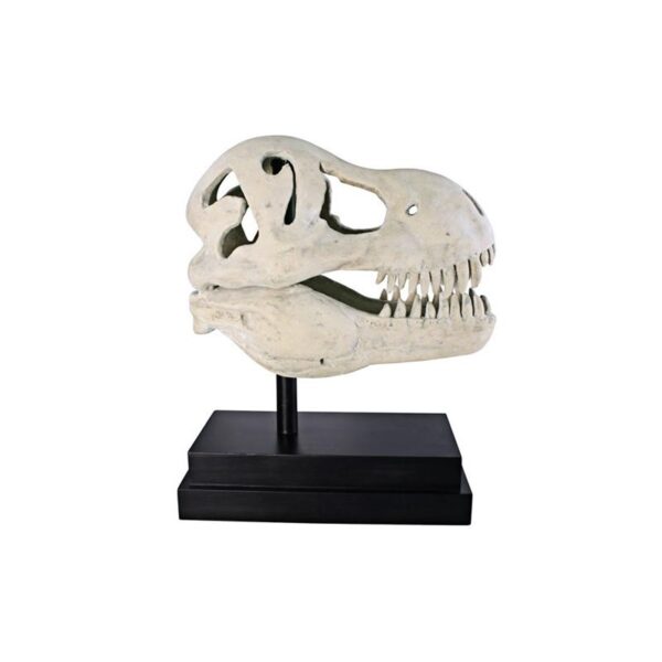 Design Toscano NE100502 10 Inch T-Rex Dinosaur Skull on Mount