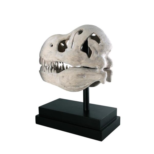 Design Toscano NE100502 10 Inch T-Rex Dinosaur Skull on Mount