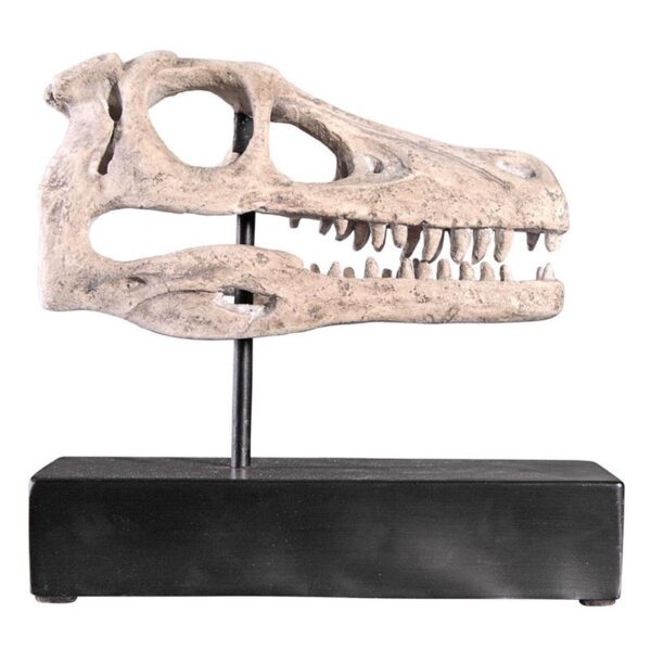 Design Toscano NE100503 10 1/2 Inch Velociraptor Skull Fossil Statue