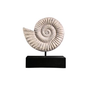 Design Toscano NE100505 8 1/2 Inch Ammonite Fossil Statue on Mount