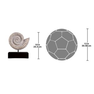 Design Toscano NE100505 8 1/2 Inch Ammonite Fossil Statue on Mount