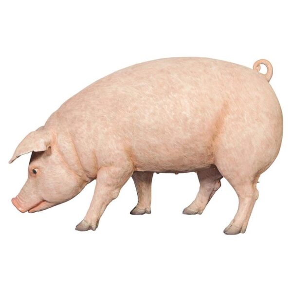 Design Toscano NE120073 50 Inch Divine Swine Life Size Farm Pig Statue