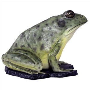 Design Toscano NE130060 50 Inch Great Green Barred Frog Statue