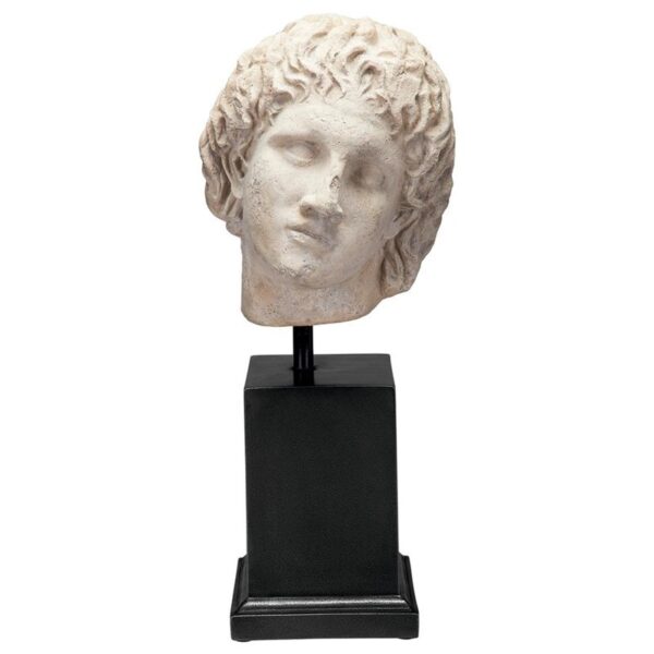 Design Toscano NE150257 11 Inch Alexander the Great Bust on Mount