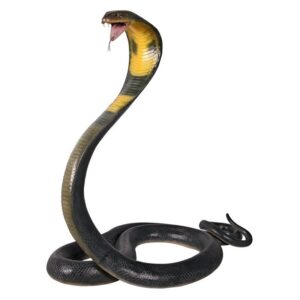 Design Toscano NE160182 42 Inch King Cobra Life Size Snake Statue