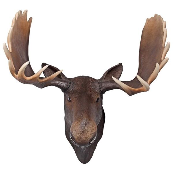 Design Toscano NE180023 41 Inch Moose Head Wall Decor