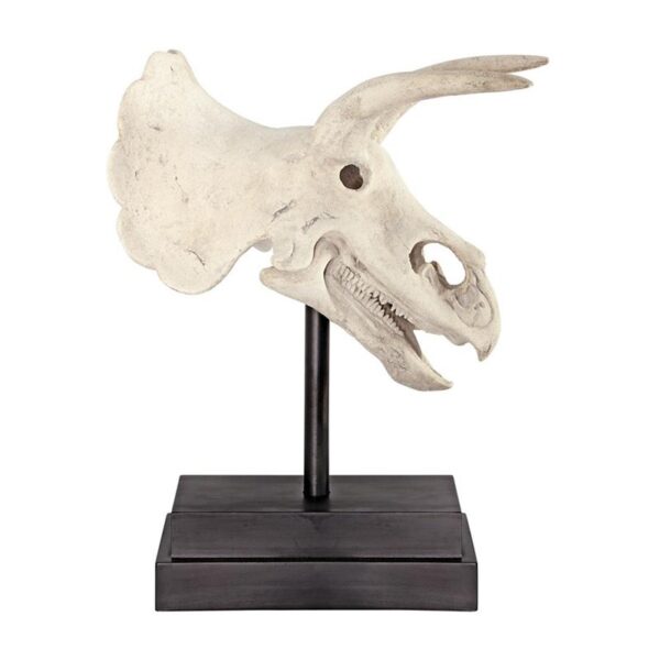 Design Toscano NE867039 10 1/2 Inch Triceratops Dinosaur Skull on Mount