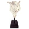 Design Toscano NE867039 10 1/2 Inch Triceratops Dinosaur Skull on Mount