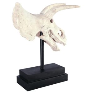 Design Toscano NE867039 10 1/2 Inch Triceratops Dinosaur Skull on Mount