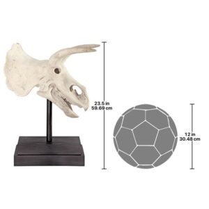 Design Toscano NE867039 10 1/2 Inch Triceratops Dinosaur Skull on Mount