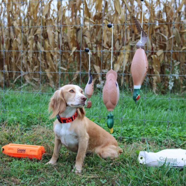 Water & Woods Tethered-Head Foam Fowl Dog Trainer