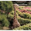 Design Toscano NG29314 8 Inch Gigi the Garden Giraffe