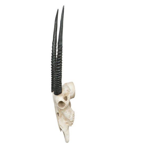 Design Toscano NG31557 16 1/2 Inch Gemsbok Wall Trophy