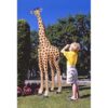 Design Toscano NG31777 32 Inch Mombasa the Garden Giraffe