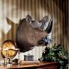 Design Toscano NG32433 16 Inch Rhinoceros Wall Trophy - Black