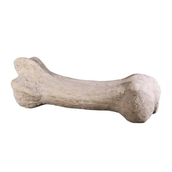 Design Toscano NG32762 43 Inch Gigantic Dinosaur Bone Statue