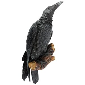 Design Toscano NG34872 7 1/2 Inch Ravens Perch Plaque