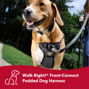 Walk Right!  Front-Connect No-Pull Padded Dog Harness