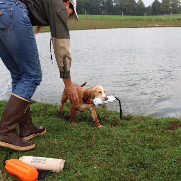 Water & Woods Vinyl Dog Training Dummies