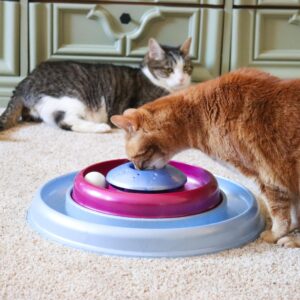 Turbo  Scratcher Replacement Ball - 2 Pack