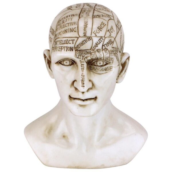 Design Toscano PD4068 5 Inch Phrenology Science of the Brain Statue