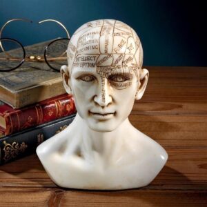 Design Toscano PD4068 5 Inch Phrenology Science of the Brain Statue