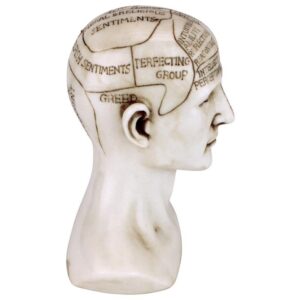 Design Toscano PD4068 5 Inch Phrenology Science of the Brain Statue