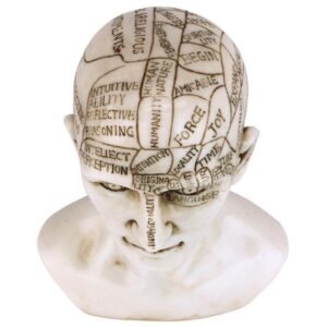 Design Toscano PD4068 5 Inch Phrenology Science of the Brain Statue