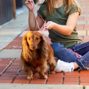 Lil Pals  Patterned Dog Leash with E-Z Snap