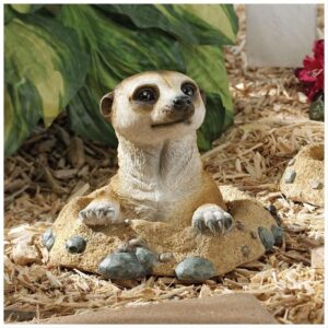 Design Toscano QL57081 10 Inch Meerkat Out of Hole