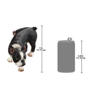 Design Toscano QL6280 12 Inch Lifting a Leg Peeing Boston Terrier