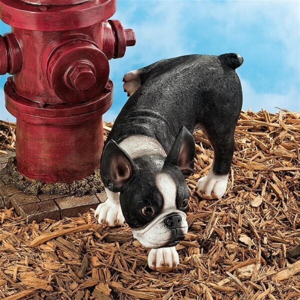 Design Toscano QL6280 12 Inch Lifting a Leg Peeing Boston Terrier