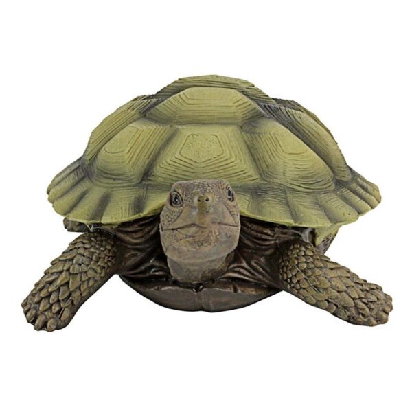 Design Toscano QM1887611 7 Inch Gilbert the Box Turtle Statue