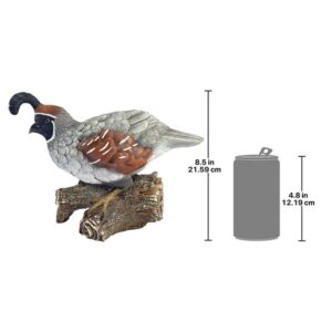 Design Toscano QM2385600 11 1/2 Inch Coco the Quail Bird Statue